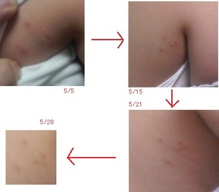 20110528-13s-2.jpg