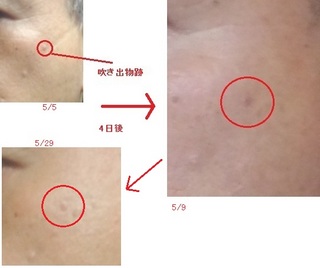 20110529-11s-2.jpg