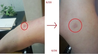 20110620-2ss.jpg
