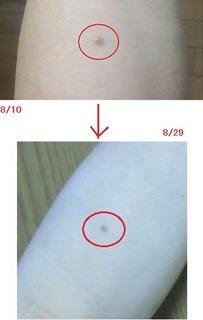 20110810-2-2.jpg