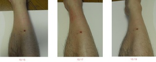 20111015-1s-2.jpg