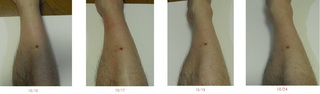 20111015-1s-3.jpg