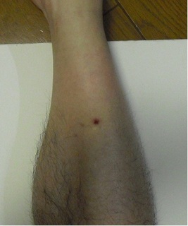 20111015-1s.jpg
